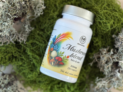 Mushroom blend 30 kapsul - prehransko dopolnilo s štirimi vrstami gob
